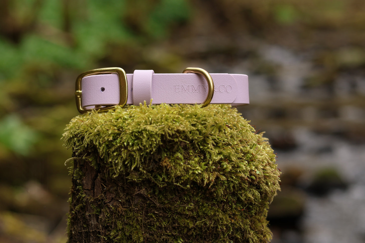 Lavender Classic Collar