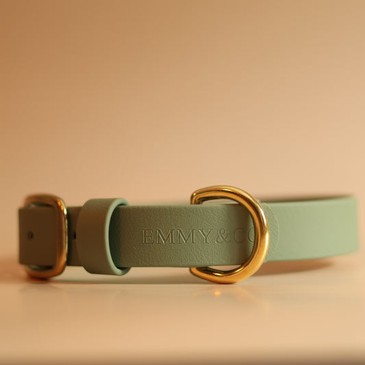Foggy Green Classic Collar