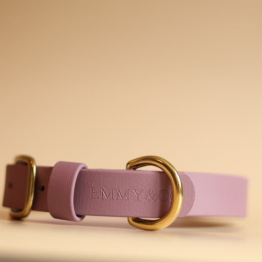 Mauve Classic Collar