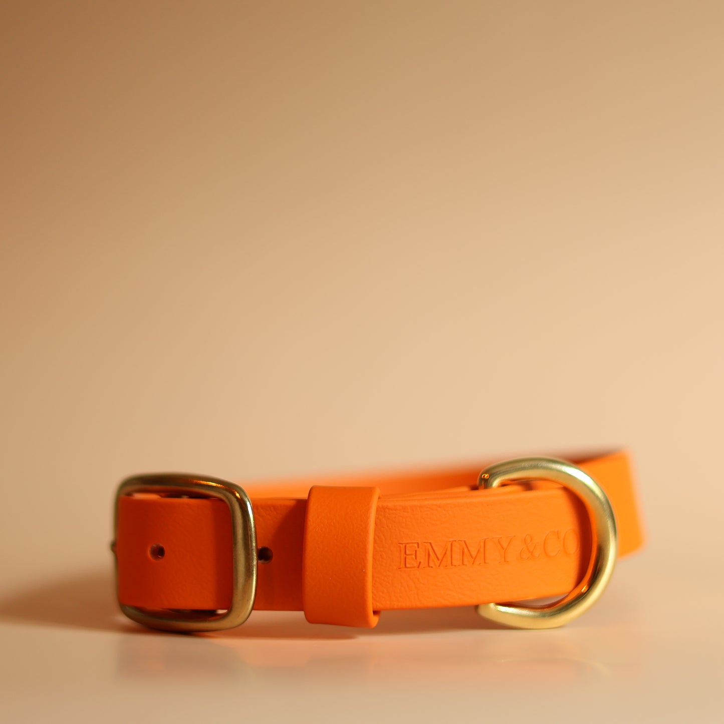 Burnt Orange Classic Collar