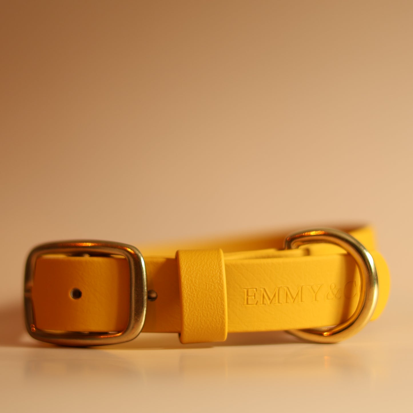 Mustard Classic Collar