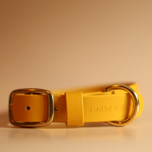 Mustard Classic Collar