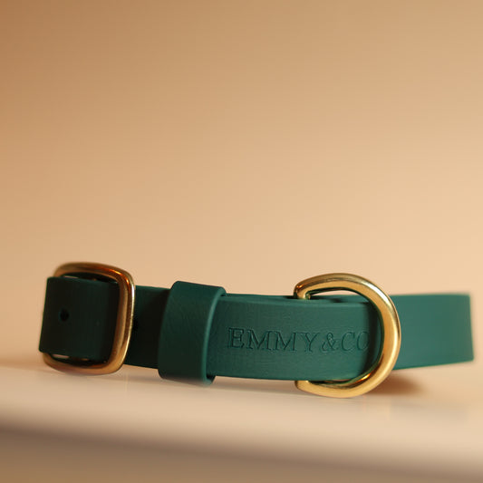 Dark Green Classic Collar