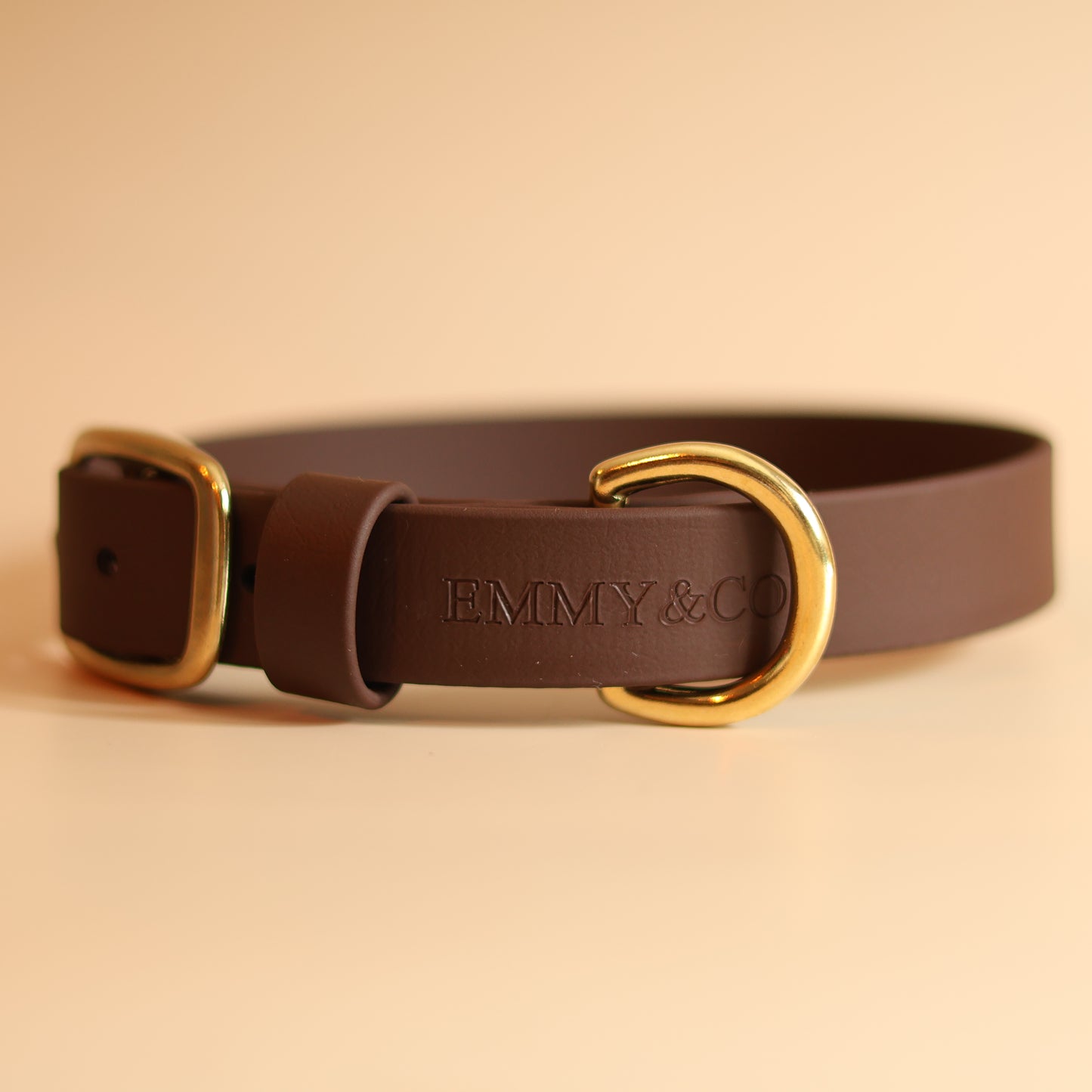 Dark brown Classic Collar