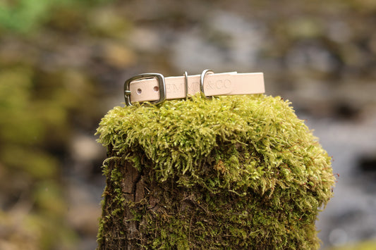 The Classic Collar — The Tiny Trails