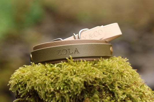 The Tiny Trails Hound Collar