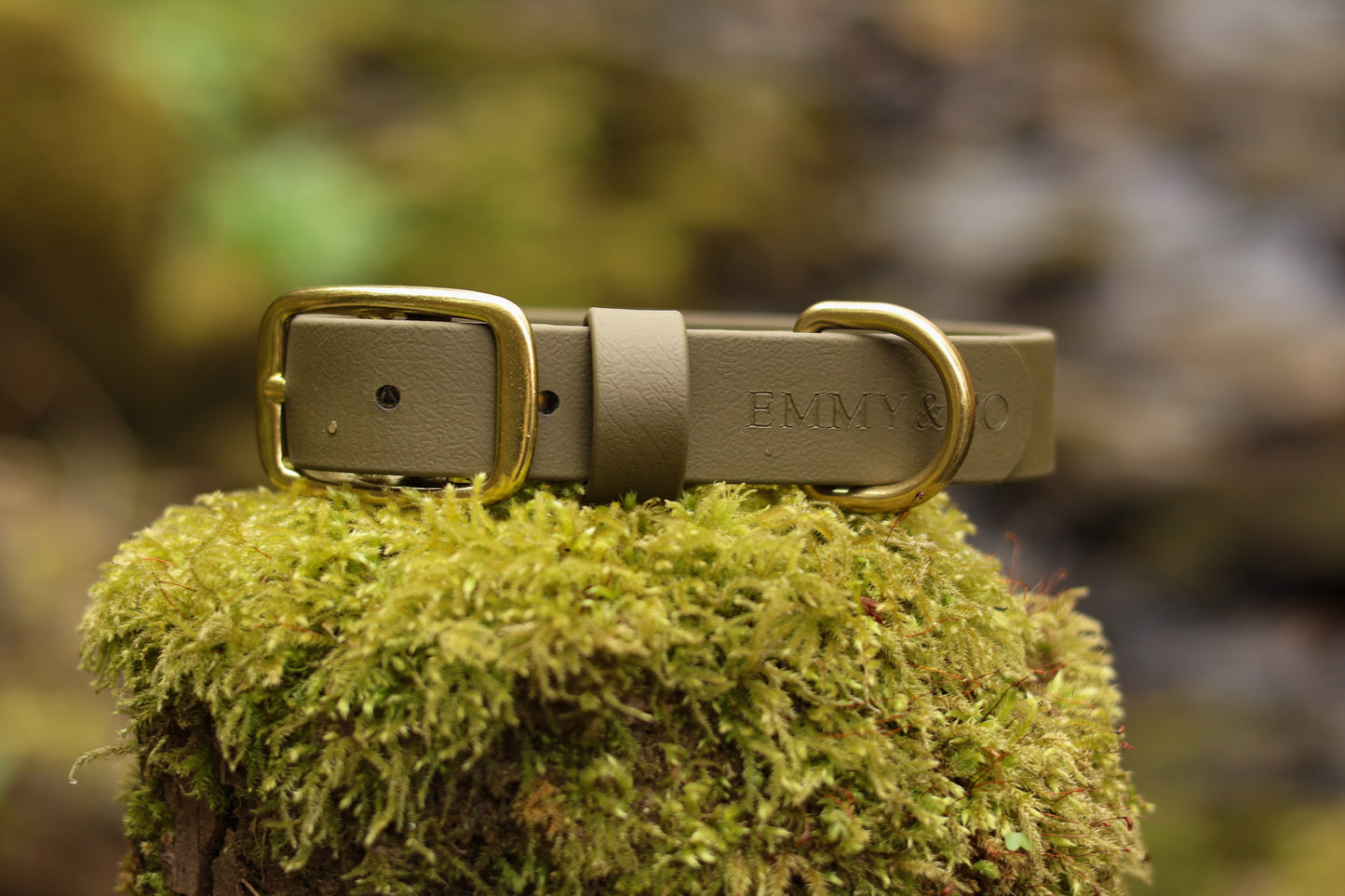 Olive Classic Collar